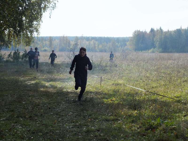 Легкоатлетический кросс.